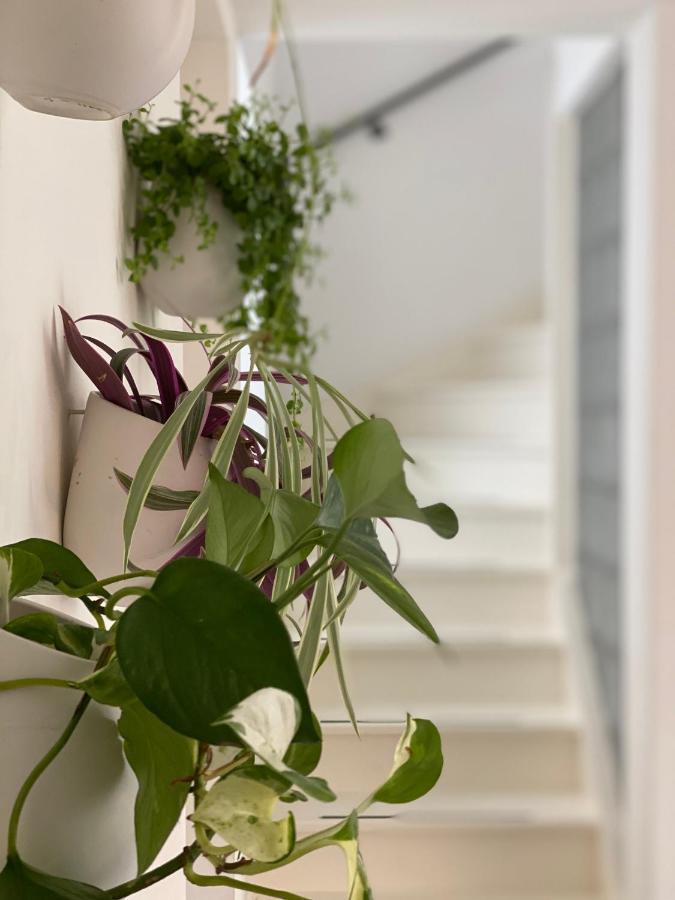 Romantic Wellness BnB Noordwijk Buitenkant foto